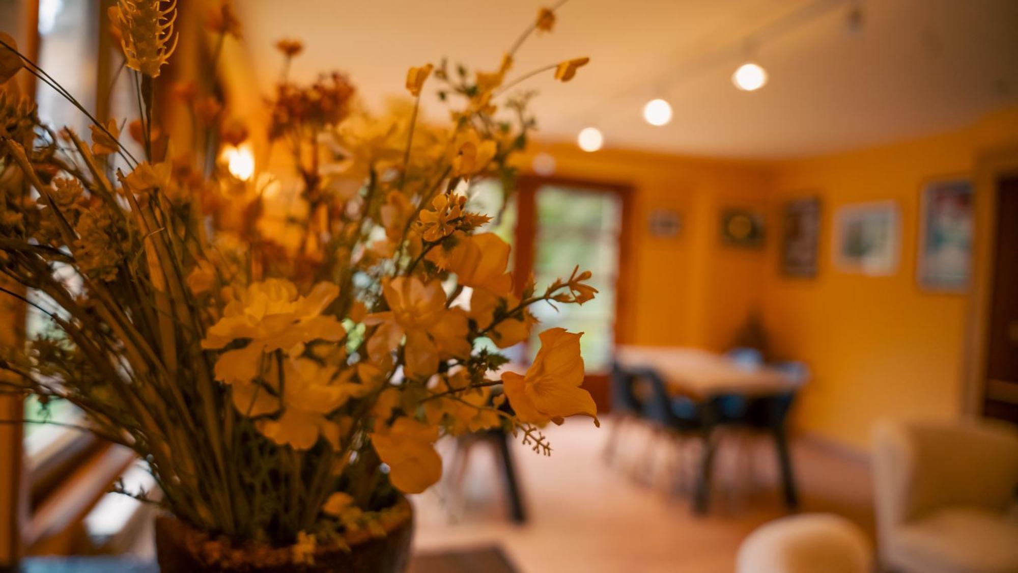 Apartaments La Neu Ordino Zewnętrze zdjęcie